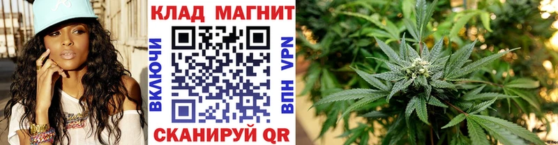 Наркошоп купить Галлюциногенные грибы  APVP  МЕФ  Героин  Cocaine  Галич