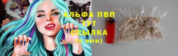 винт Козельск