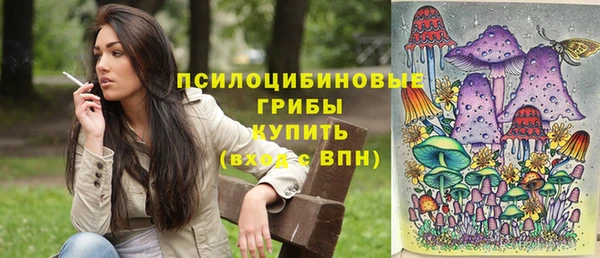 винт Козельск