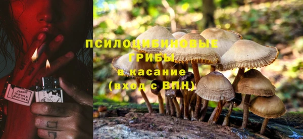 соль курить ск Козловка