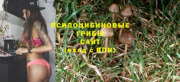 ALPHA PVP Коряжма