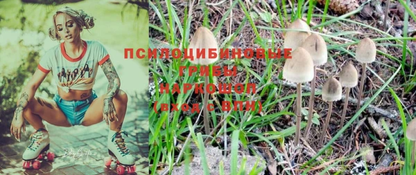 соль курить ск Козловка