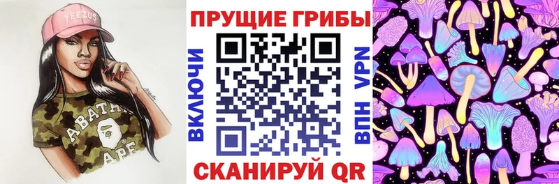 Галлюциногенные грибы Magic Shrooms  Купить где  Галич 