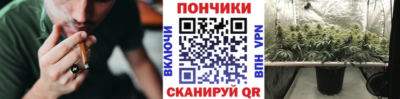 Купить  Галич  Шишки марихуана планчик 